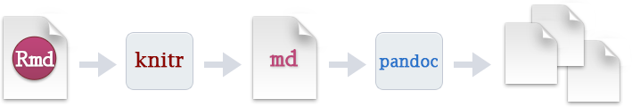 r markdown document workflow