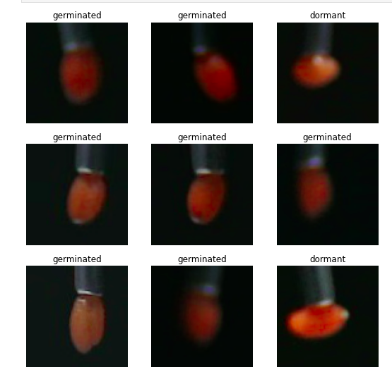 seed images from the new dataset