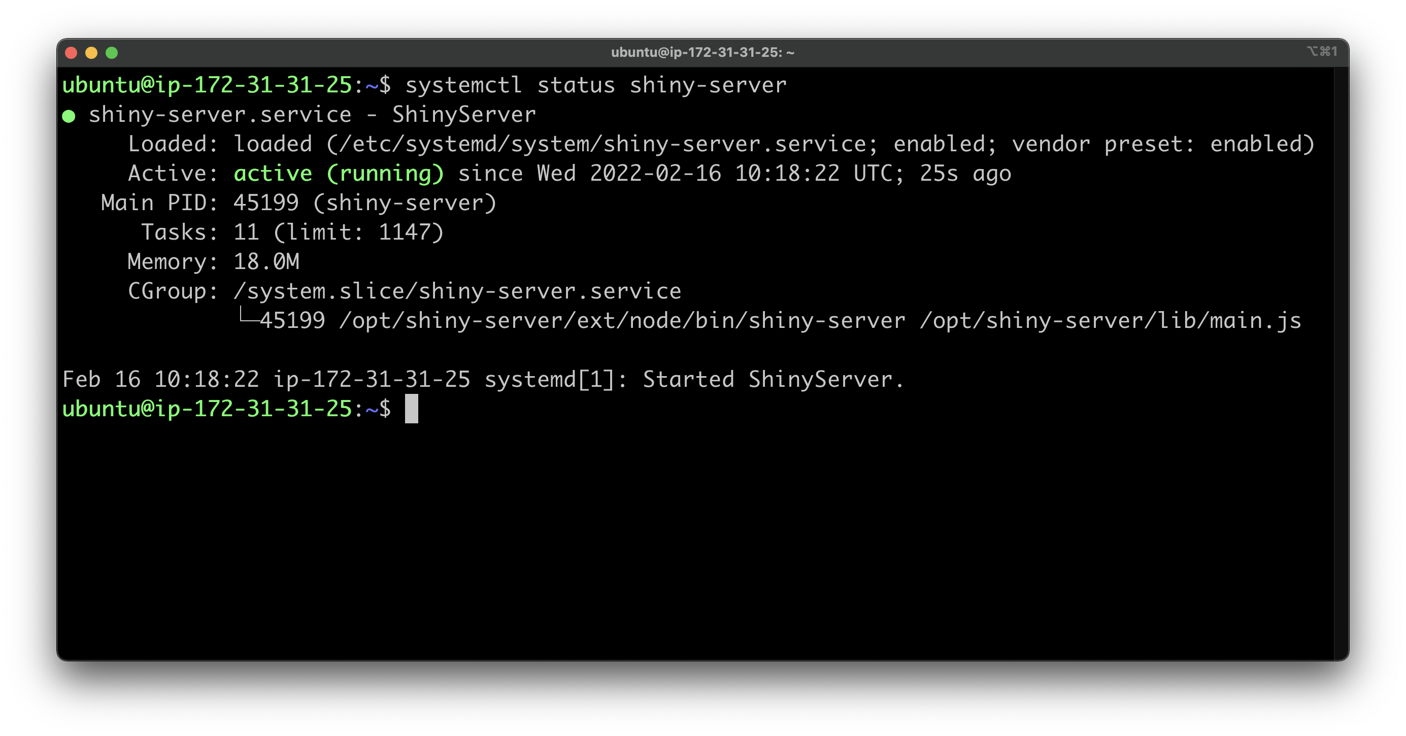Image 7 - Shiny Server status on an EC2 instance