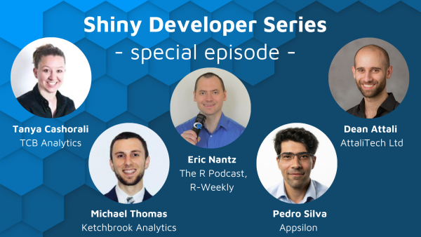 Shiny Developer Series Panel