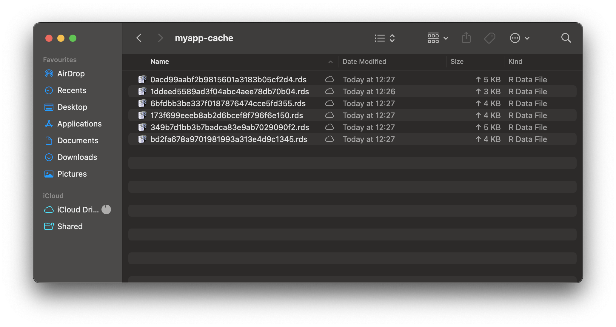 Image 2 - Contents of the myapp-cache directory