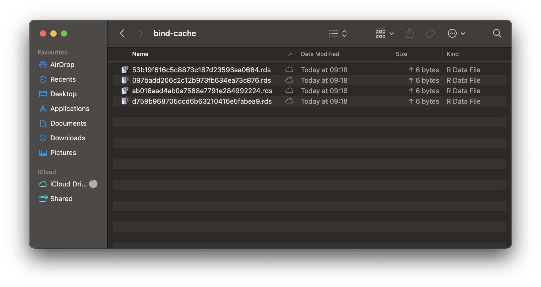 Image 4 - Contents of the bind-cache directory