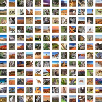 Image 1 - Wildlife dataset for machine learning