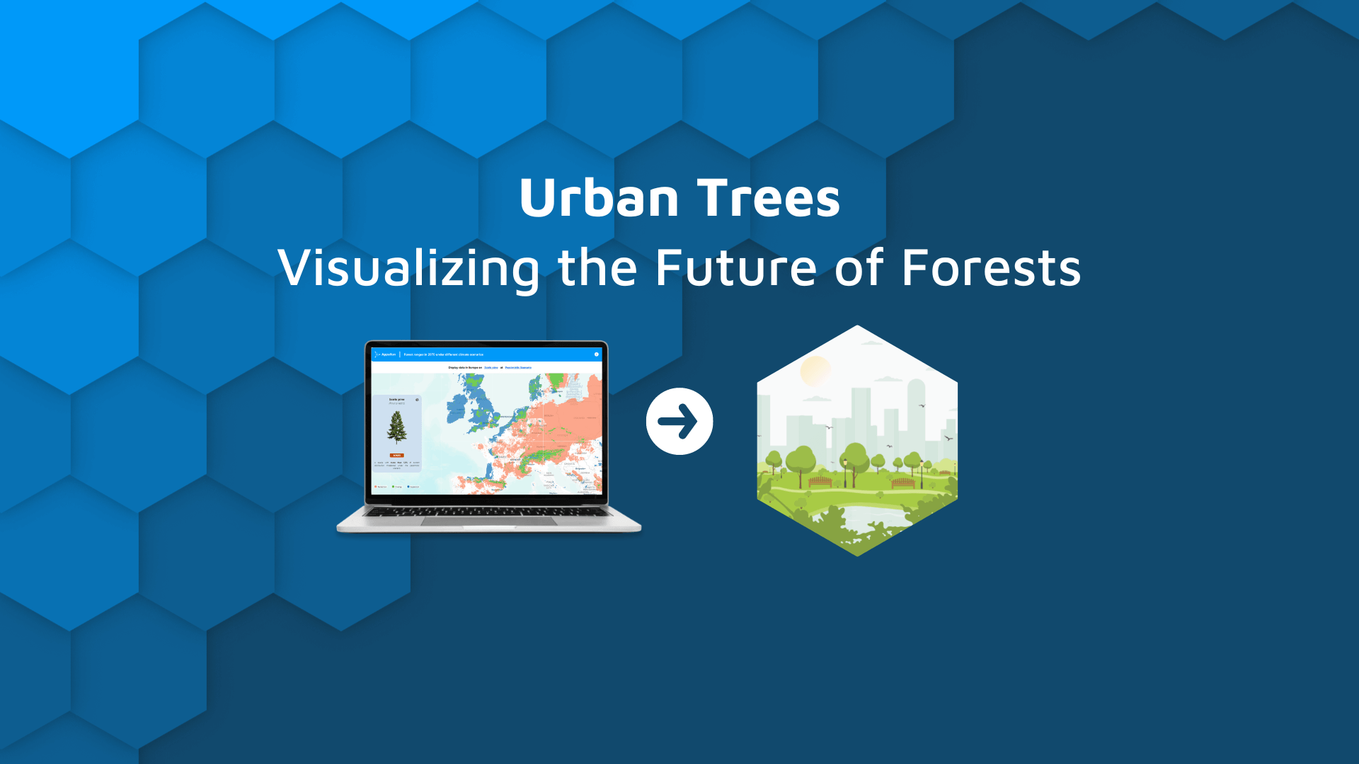 Urban Trees: Visualizing the Future of Forests with a Shiny dashboard blog hero banner