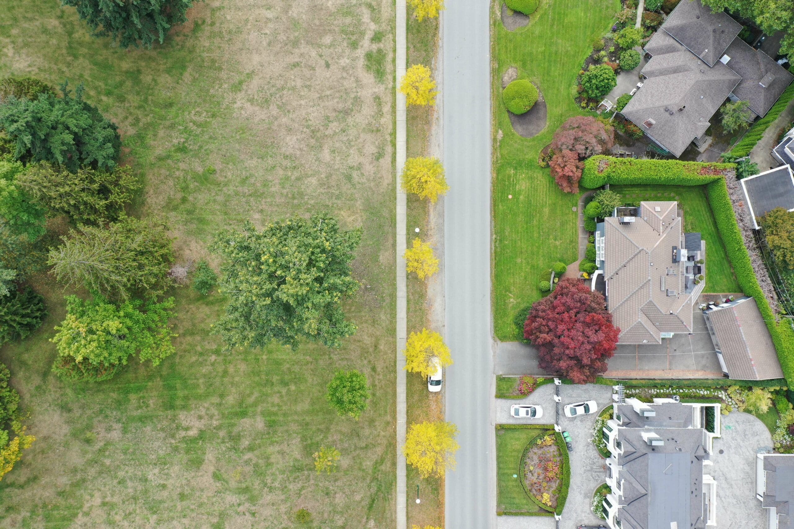 Aerial view of trees on park to the left and trees in residential area on the right