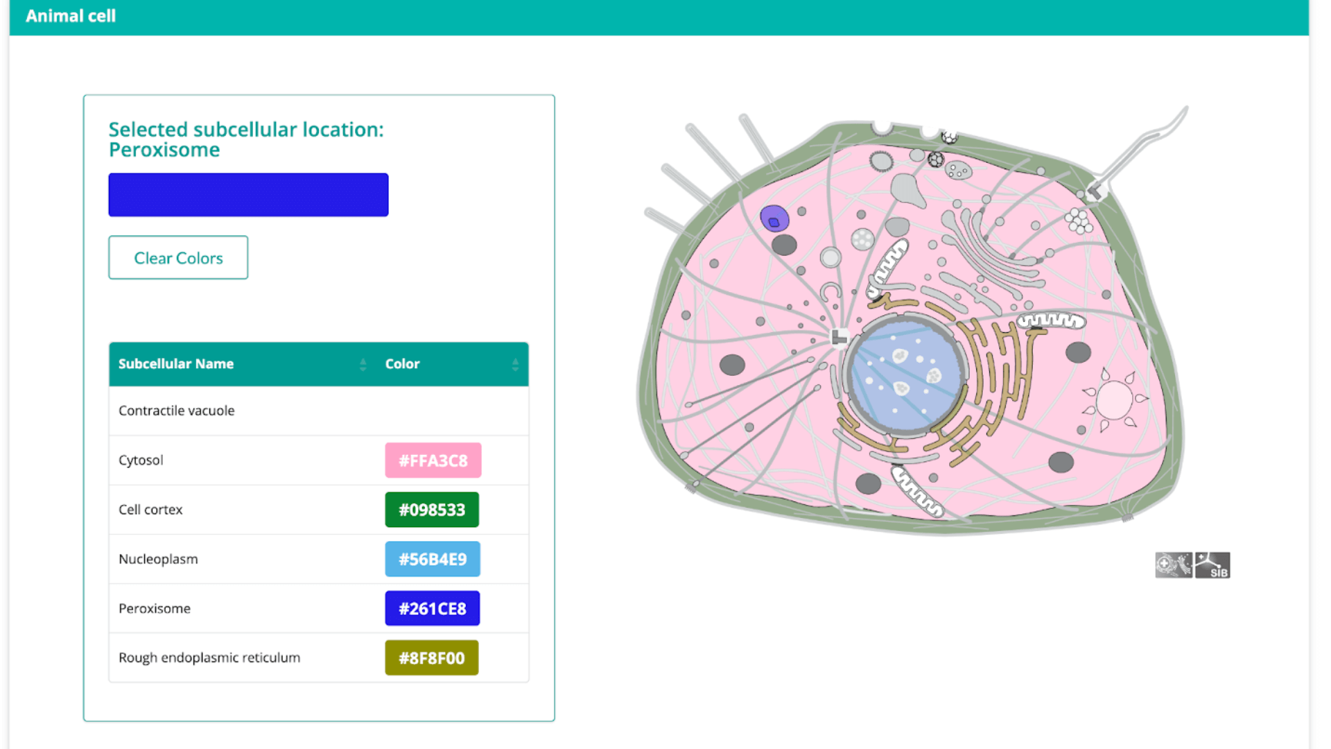 drawing biology cell structures with an app {drawCell} Package Blog Hero (1)