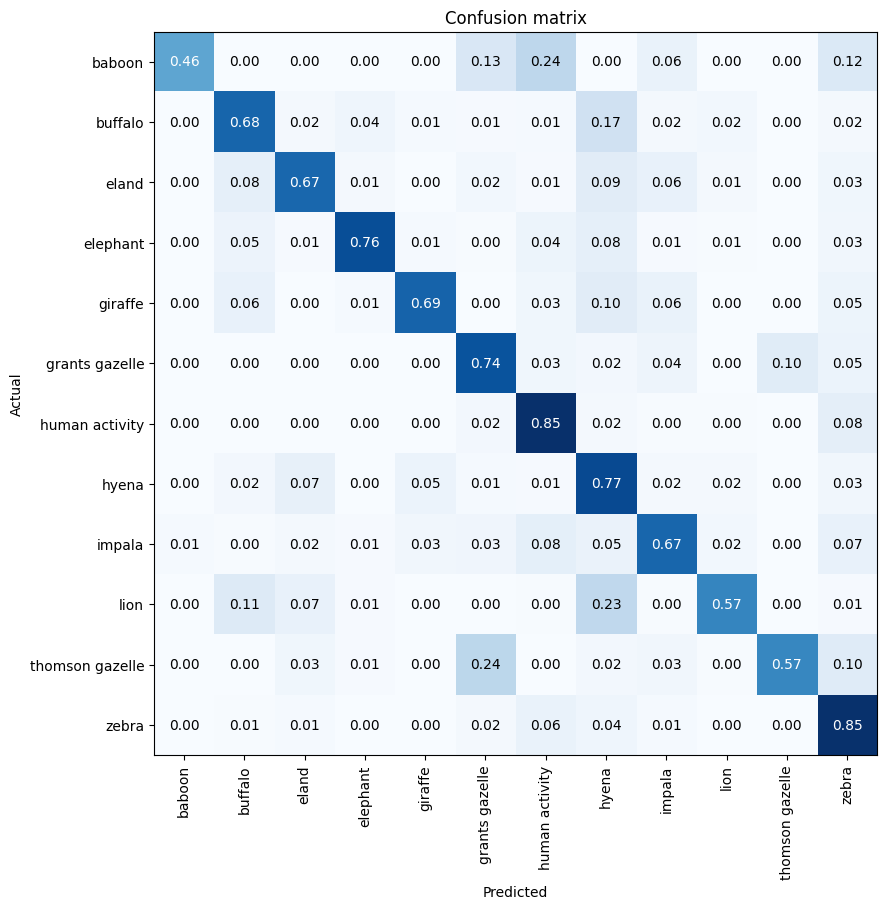 ConvNeXt model normalized confusion matrix, showing a summary of prediction results versus labels. A higher value for each matching pair (e.g. zebra - zebra) means higher accuracy of the model.