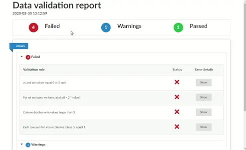 data validator semantic_report_example