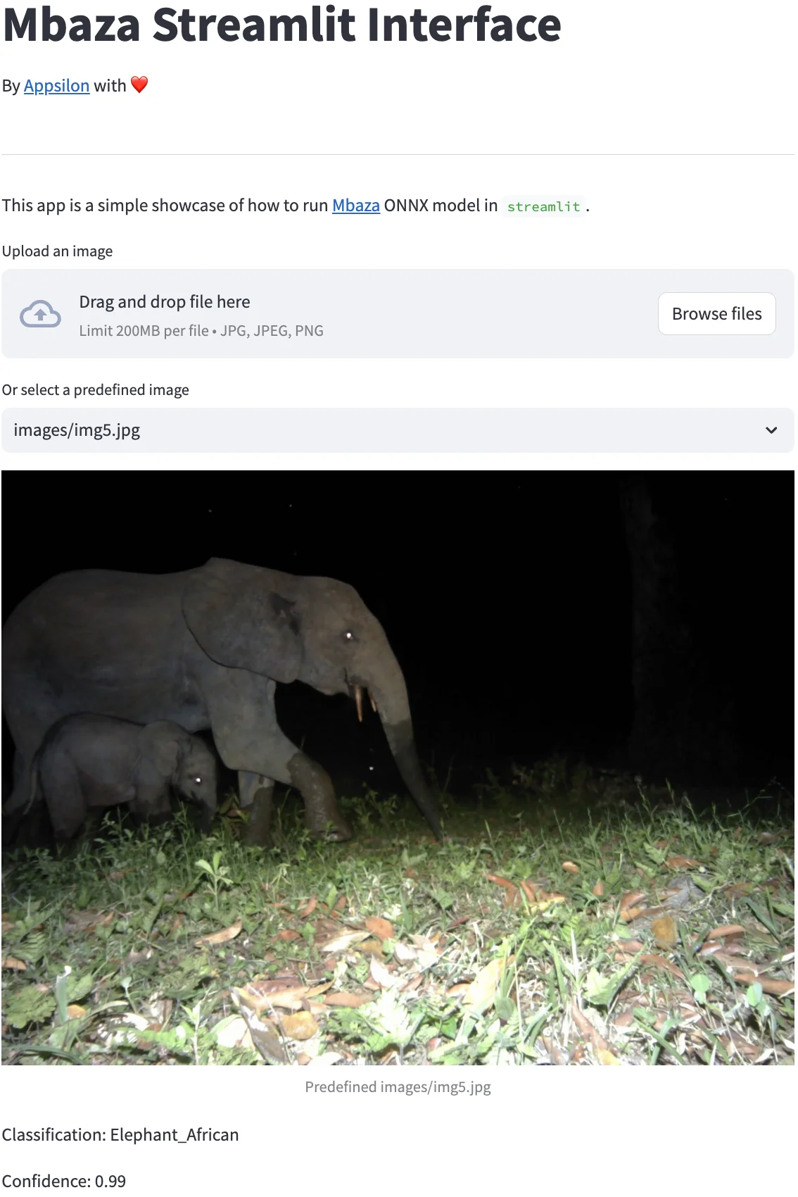 Mbaza Streamlit Interface showing an African Elephant identified with 99% confidence. 