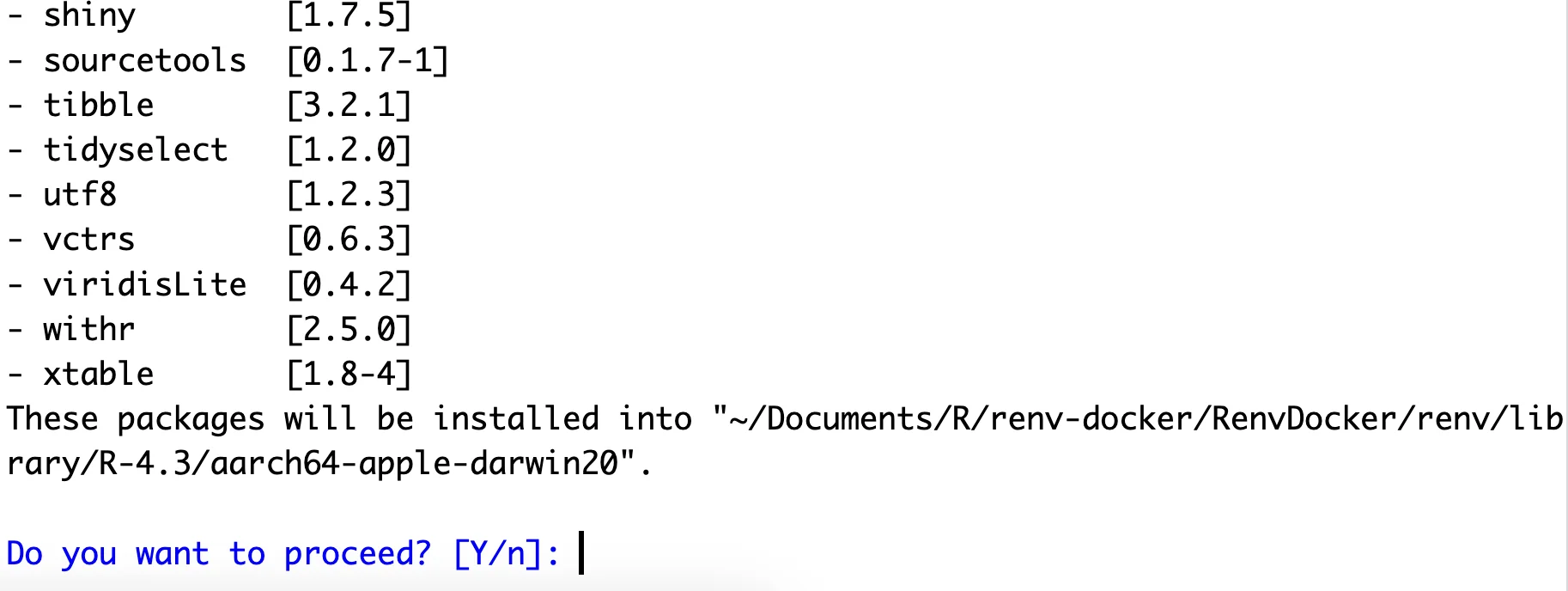 Image 5 - Confirming the installation in a renv folder